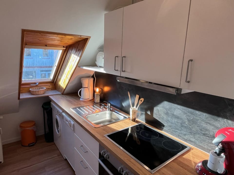 Kitchen or kitchenette, dishwasher, minibar, pet friendly, stove
