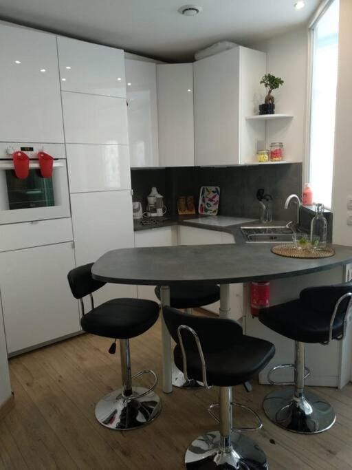 Appartement centre ville rose Apartment in Toulouse