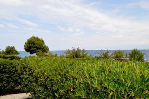 Natural landscape, Sea view