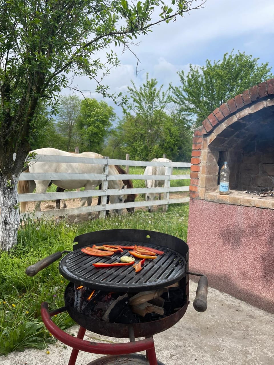 BBQ facilities