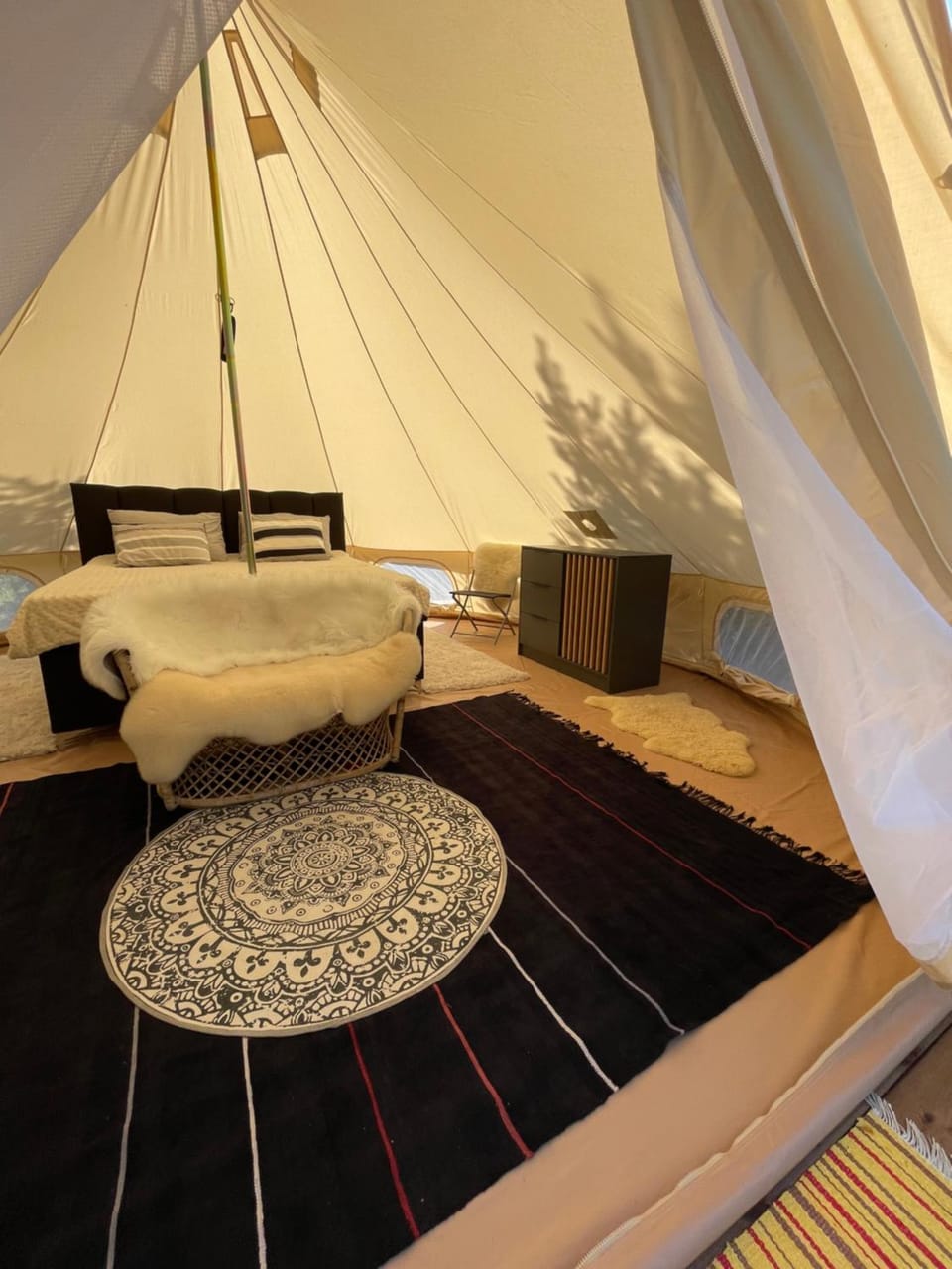 Bed, Living room, Photo of the whole room, Bedroom