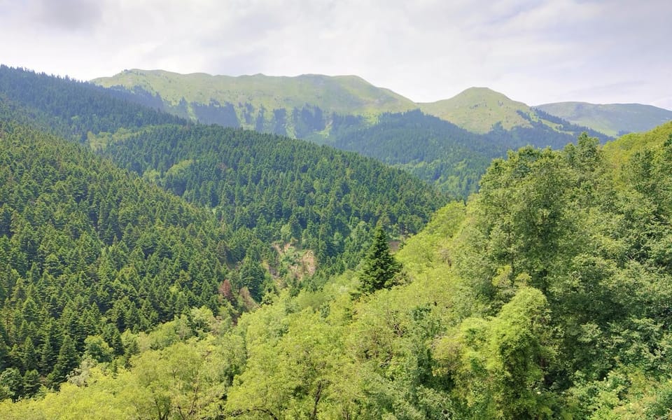Mountain view