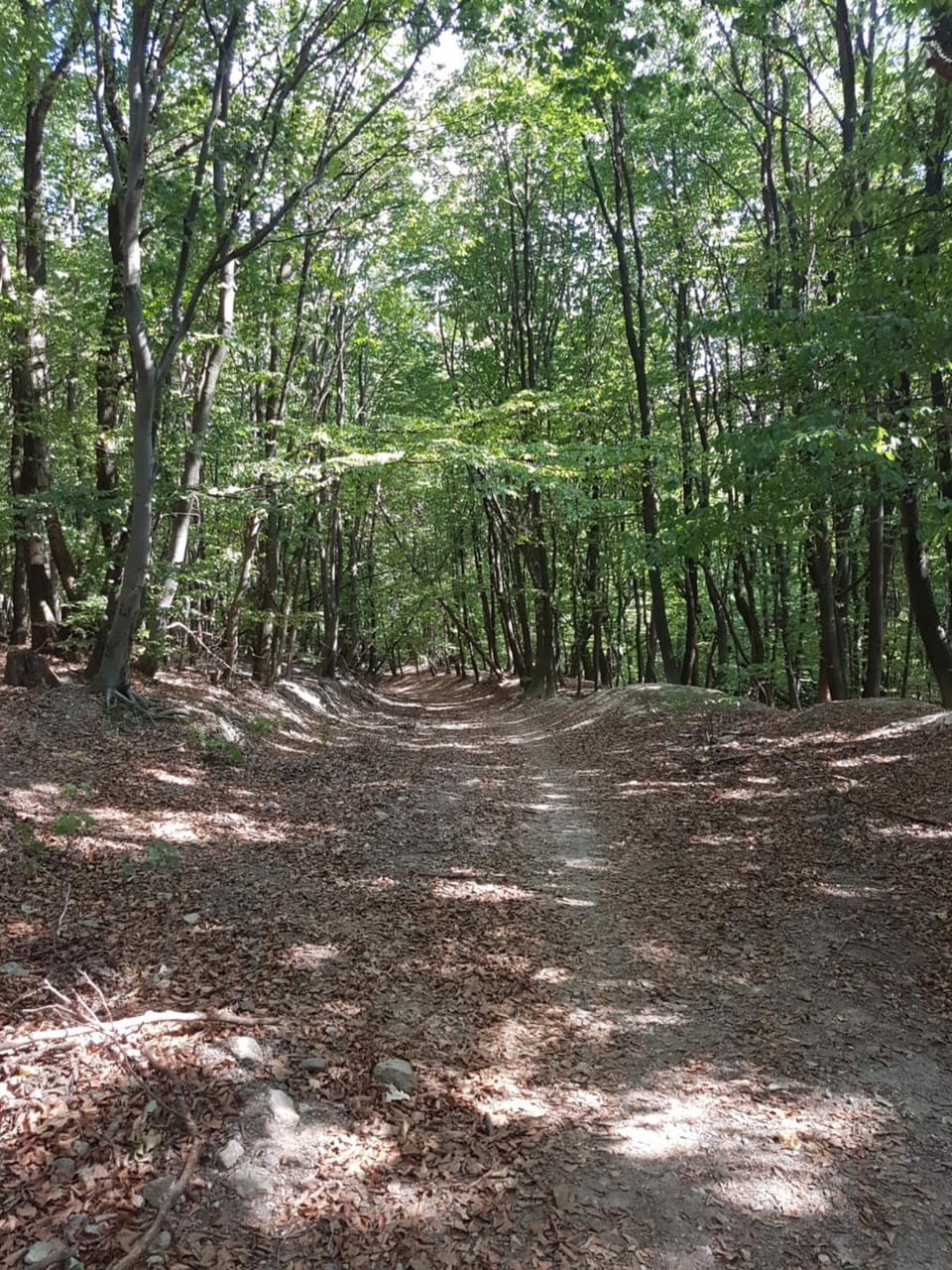 Hiking, Cycling