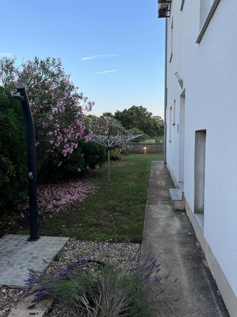 Property building, Garden