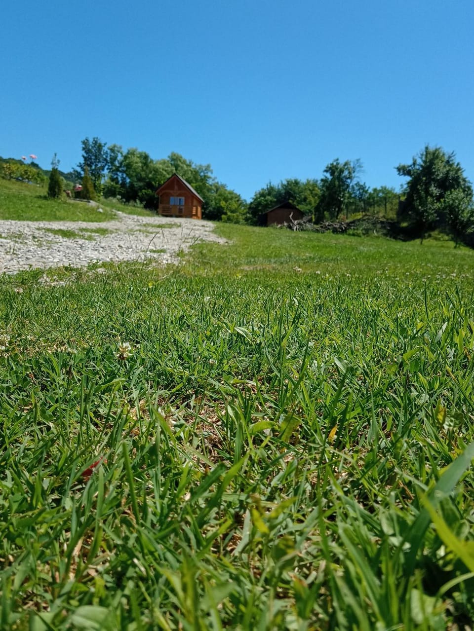 Natural landscape