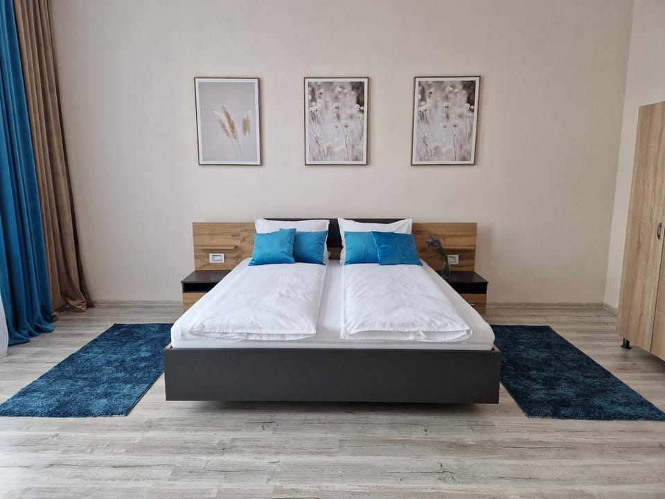 ORI Classy Apart Malul Mureșului Apartment in Timiș County