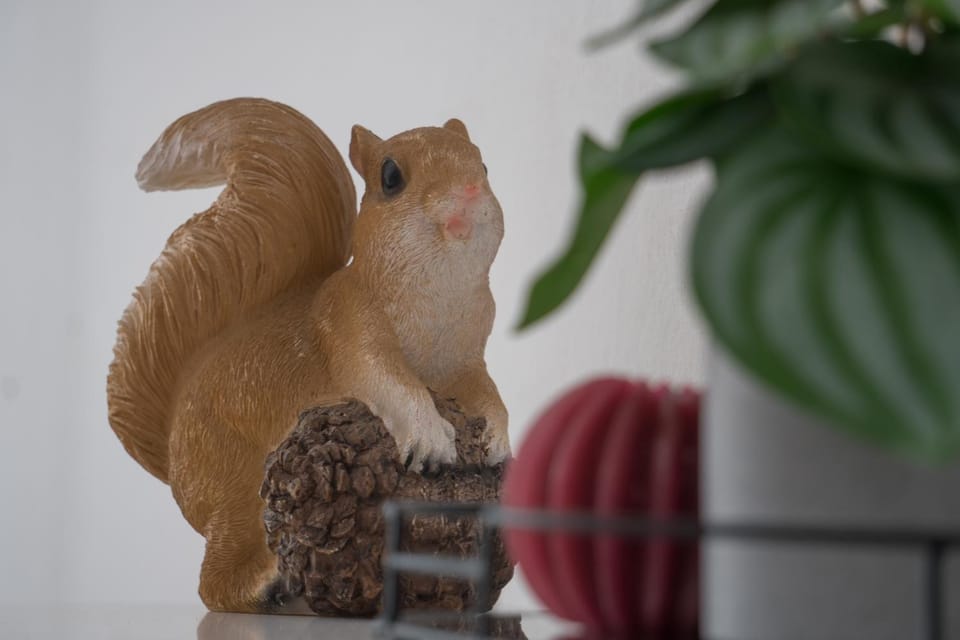 Living room, Decorative detail