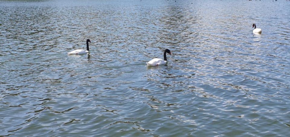 Natural landscape, Lake view