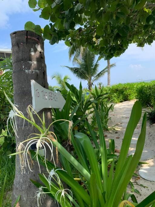 Beach'nBarefoot (Love Beach) - nestled on the beach Apartment in Nassau