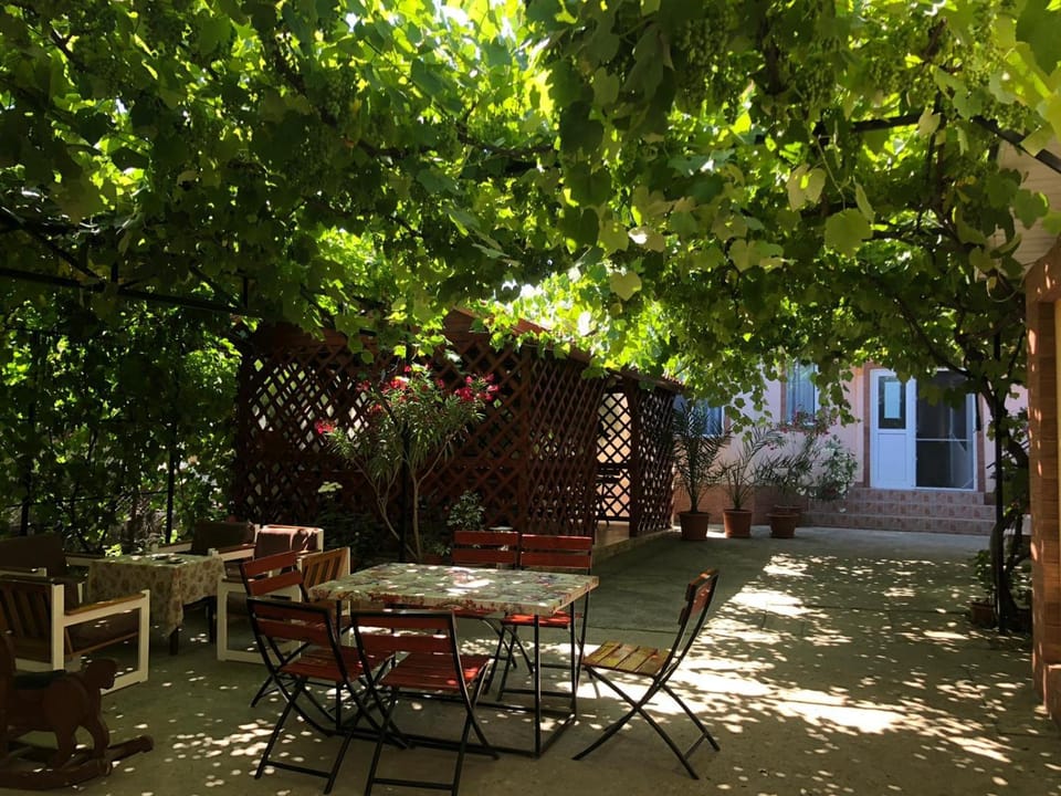 Casa Dașoveanu Bed and Breakfast in Constanța County
