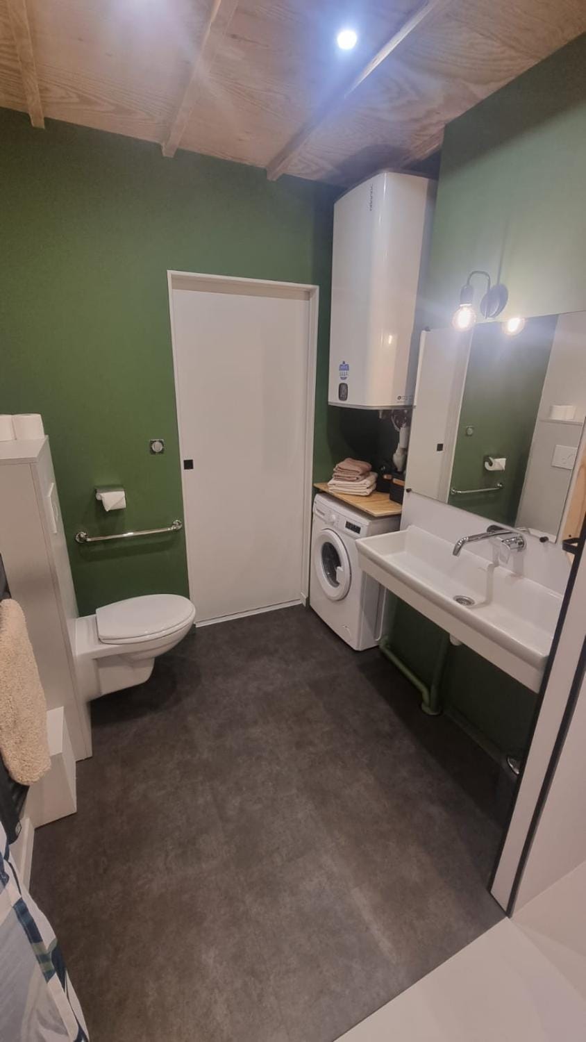 Toilet, Bathroom, Facility for disabled guests