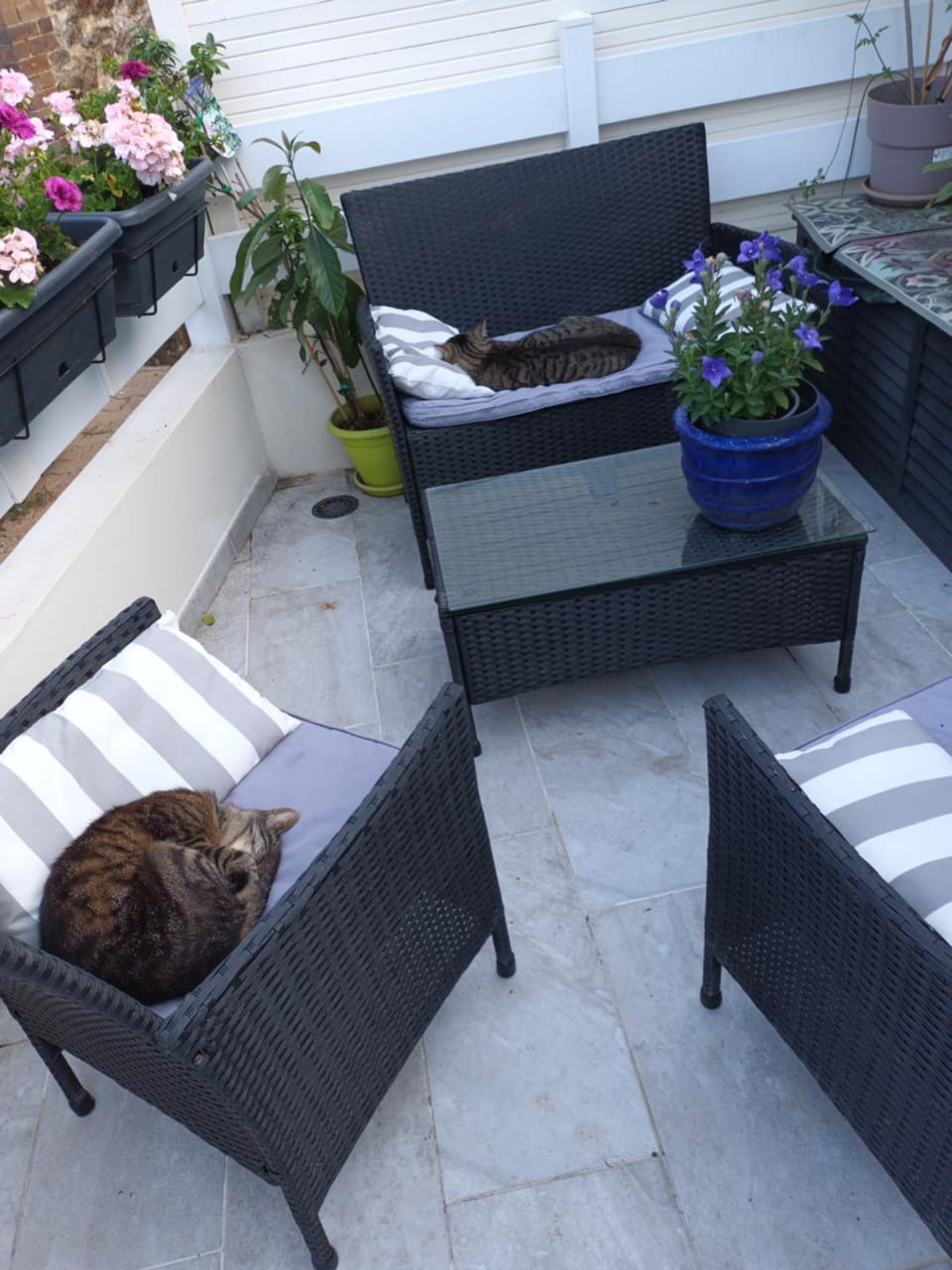 Balcony/Terrace, Internal: Not applicable to any particular room