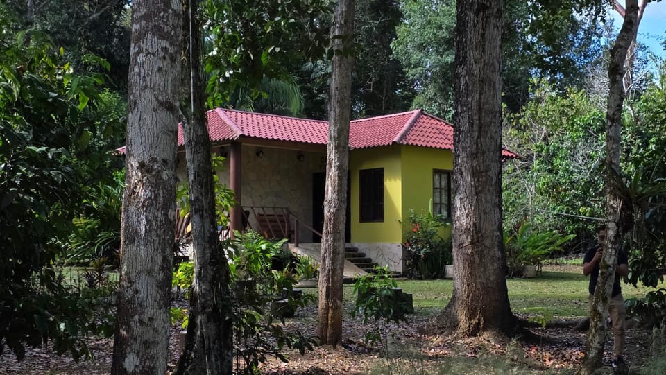 Tu Casa en la Selva Lacandona Apartment in State of Chiapas