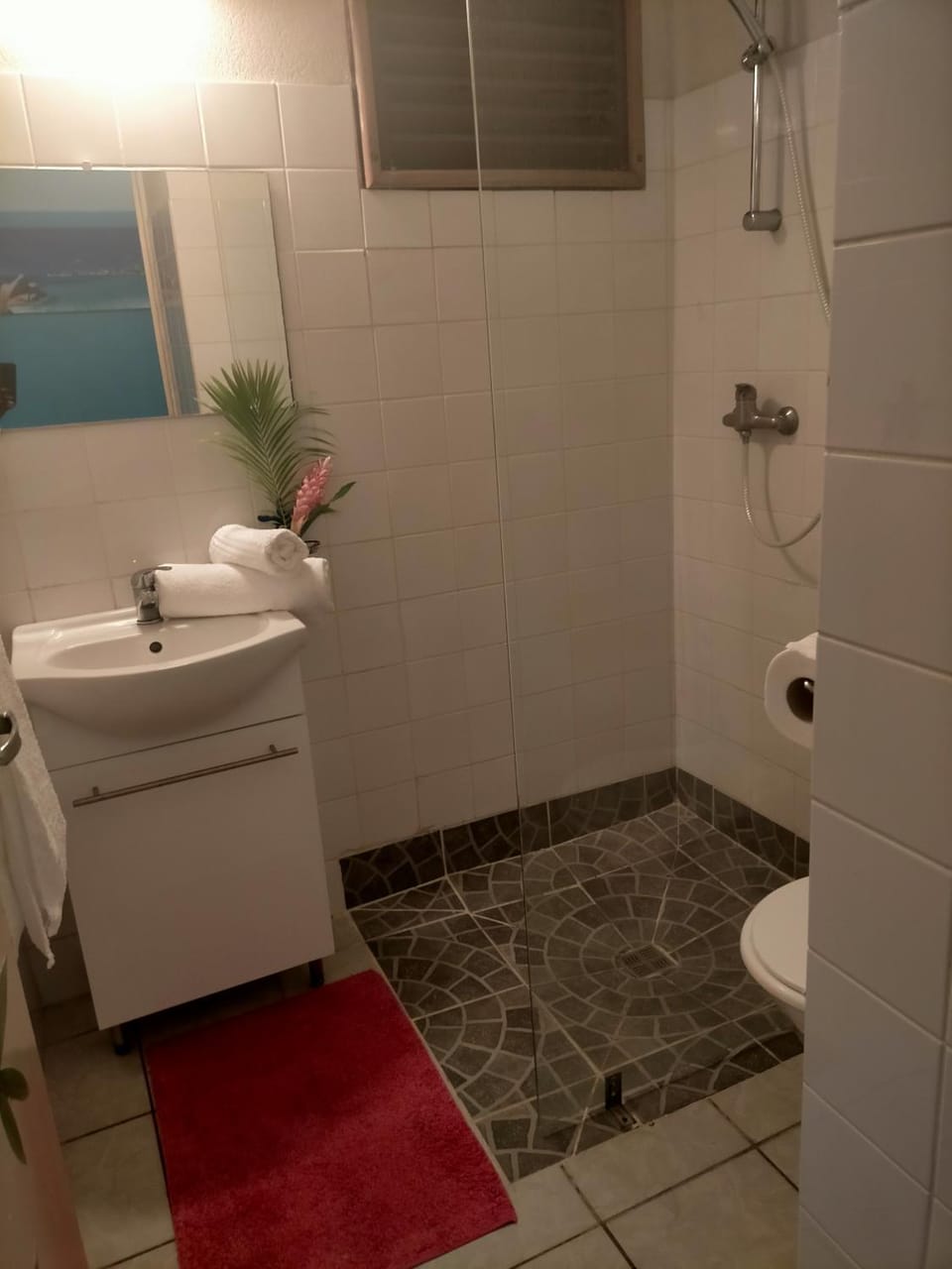 Shower, Toilet, Bathroom, towels