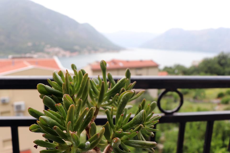 Vista di Cattaro Apartment in Dobrota