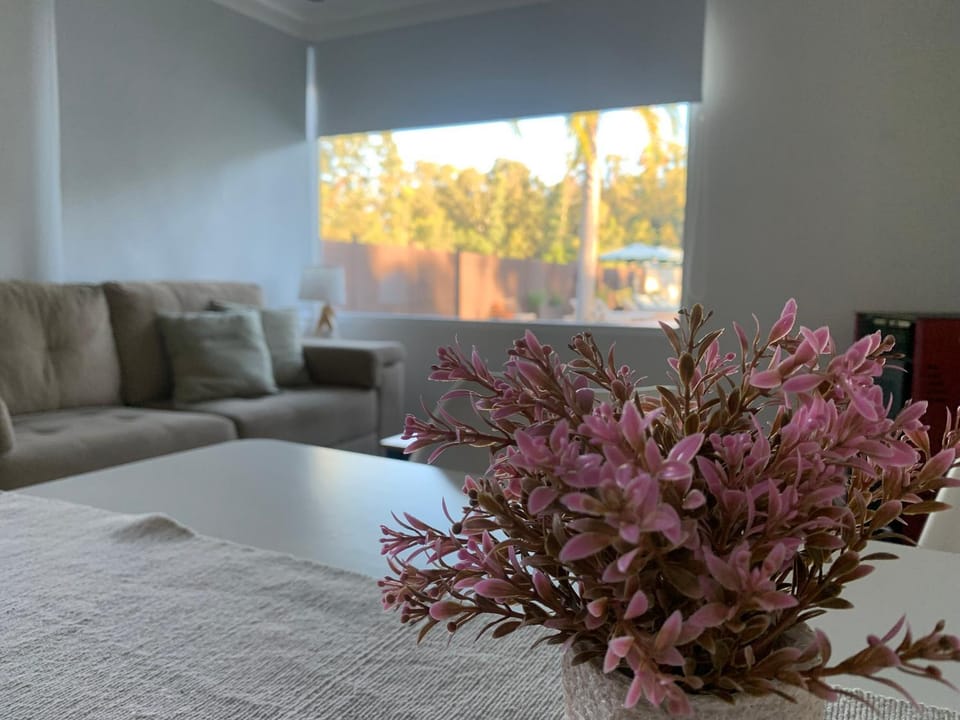 Living room, Photo of the whole room