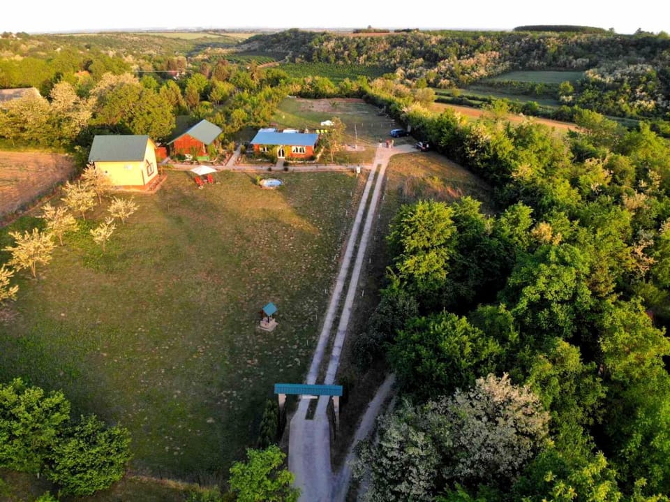 Property building, Day, Natural landscape, Bird's eye view, Garden, Garden view
