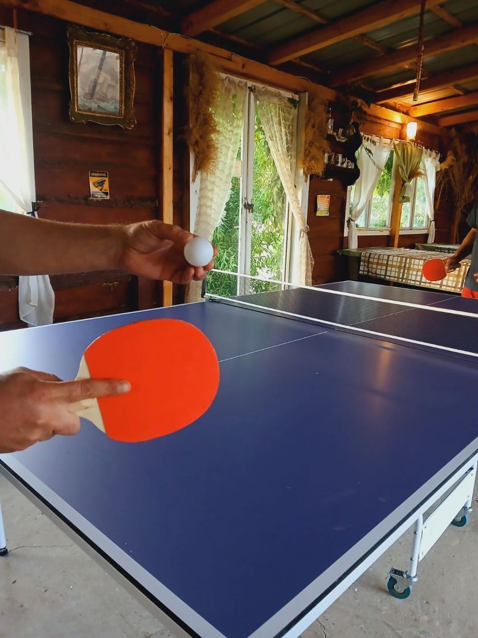 People, Game Room, Table tennis, Table tennis, group of guests