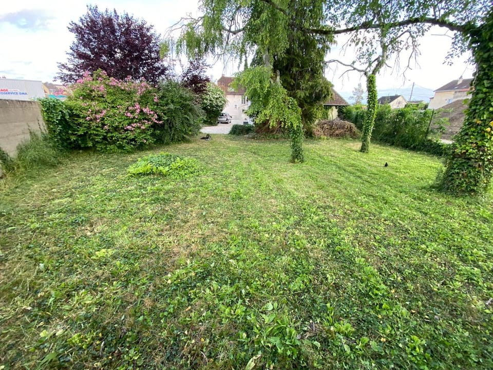 Day, Garden, Garden
