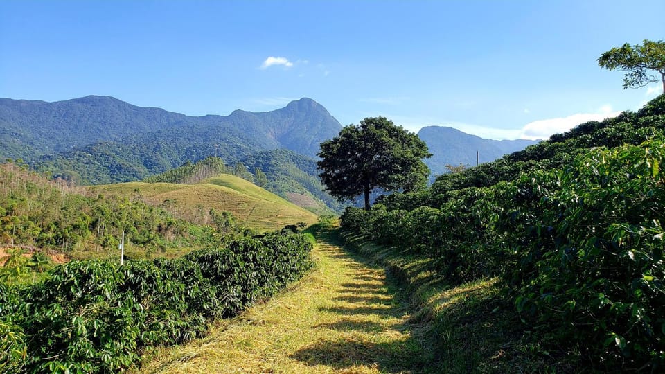 Natural landscape, Landmark view, Mountain view
