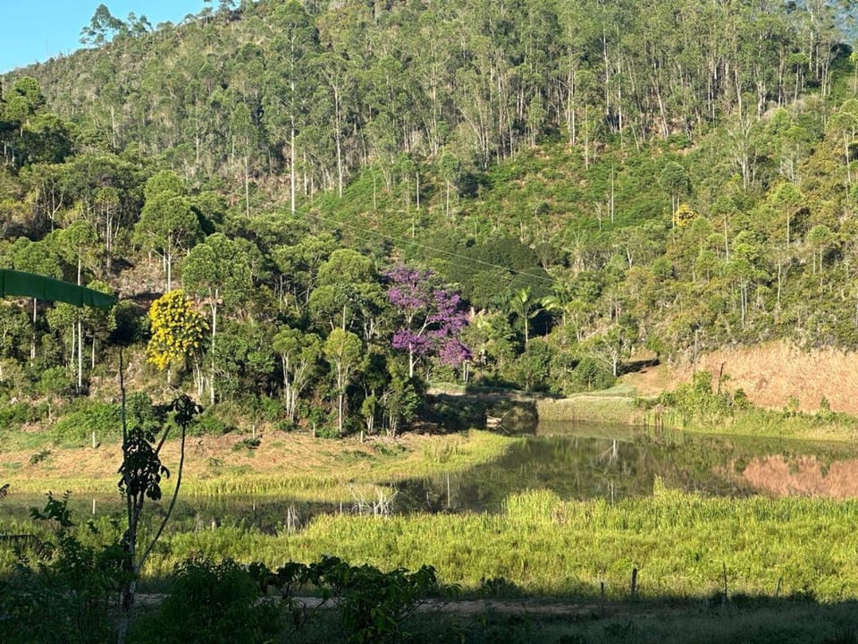 Natural landscape, View (from property/room), Lake view, Landmark view