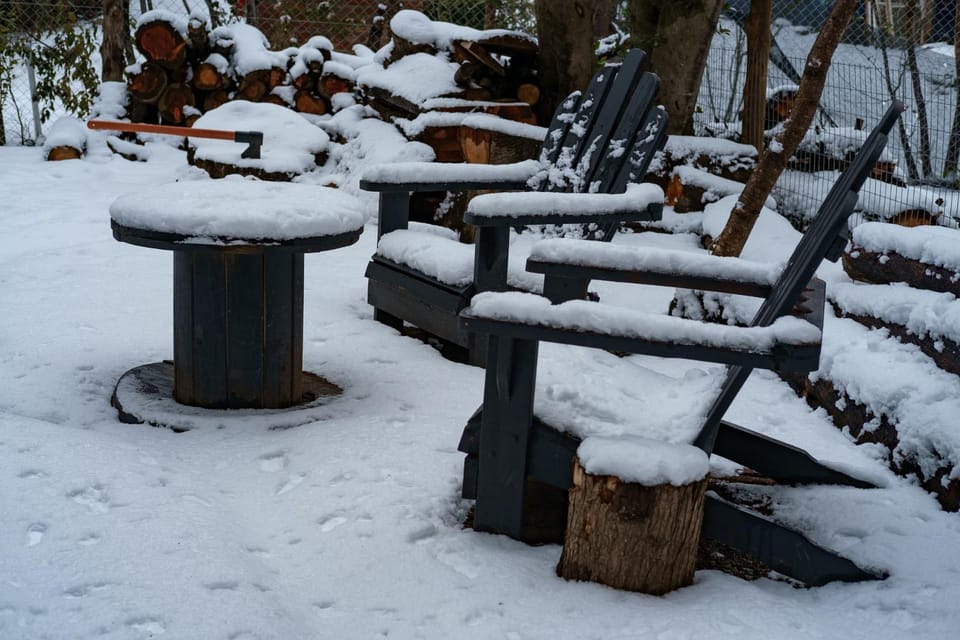 Winter, Garden, Garden