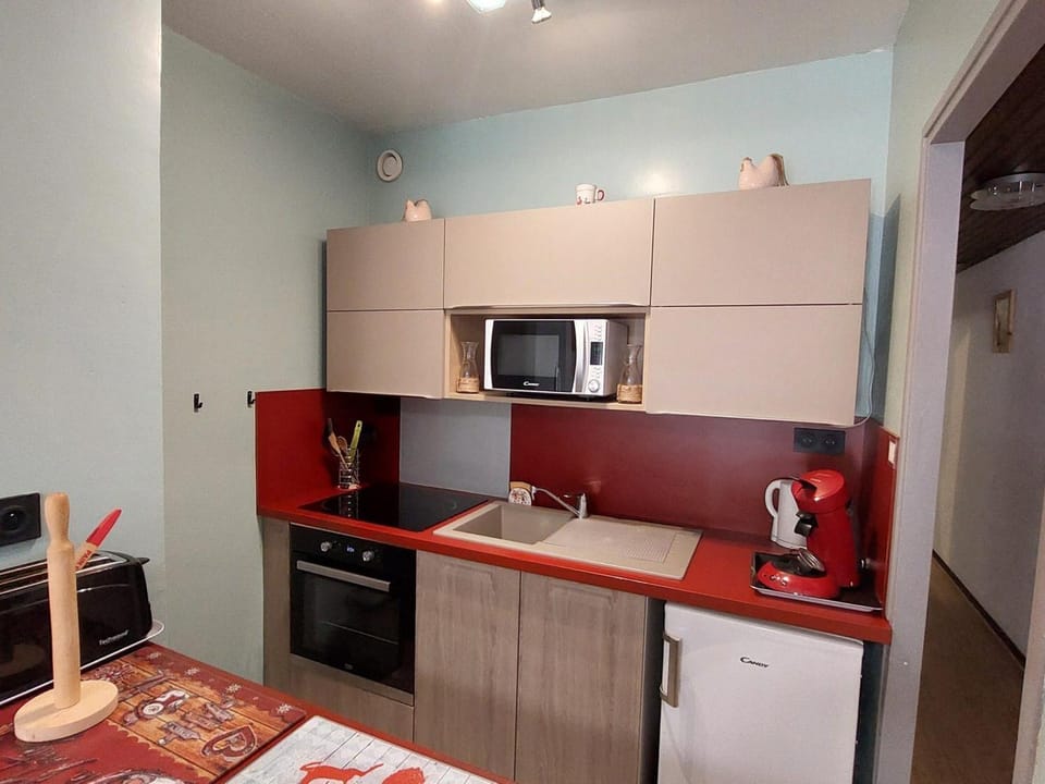 Studio rénové, 4 pers, proche pistes - FR-1-516-207 Apartment in Les Deux Alpes