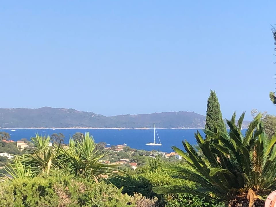 Sea view