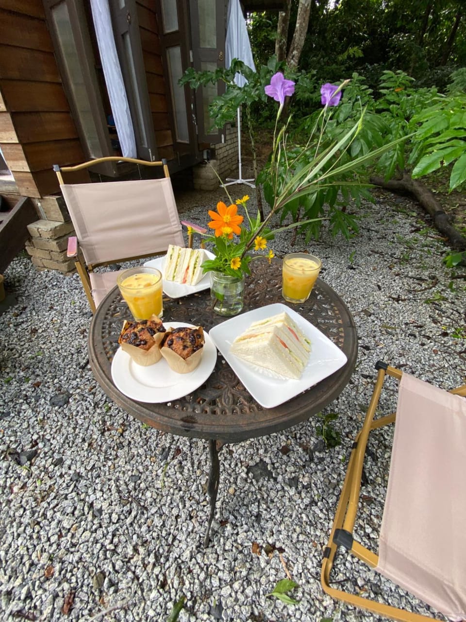 Food and drinks, Garden view, Breakfast