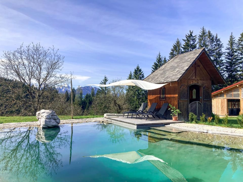 Garden, Pool view, Swimming pool, sunbed