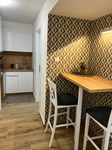 Centar NS4 Apartment in Novi Sad