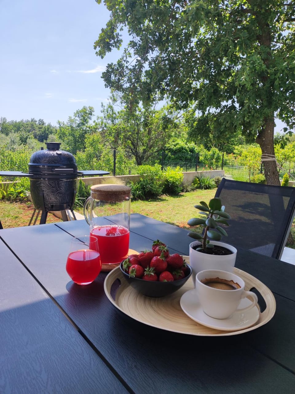 Garden view