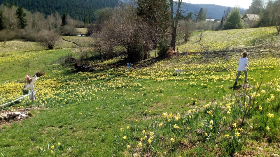 View (from property/room)