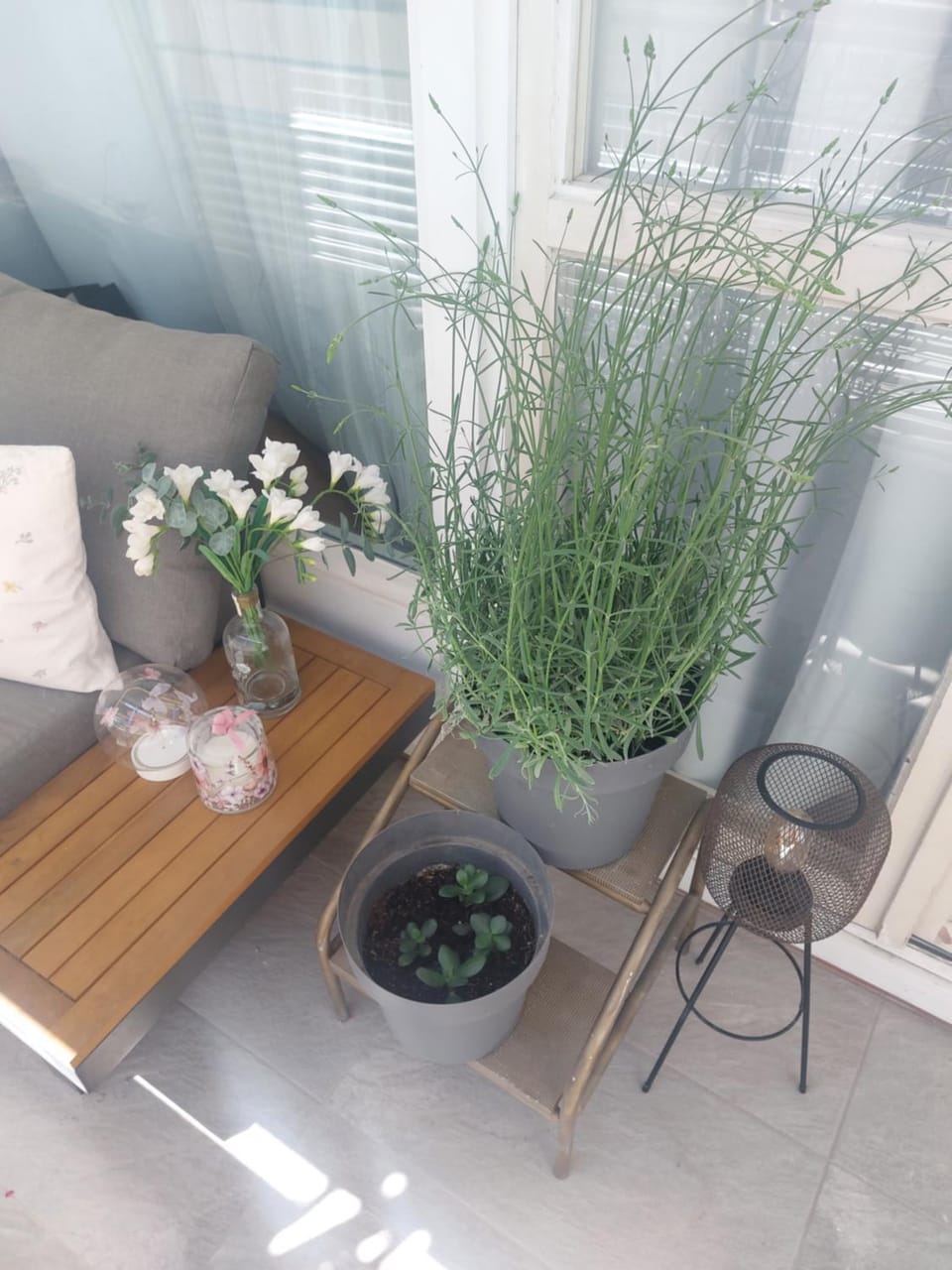 Vivito apartment Apartment in Split