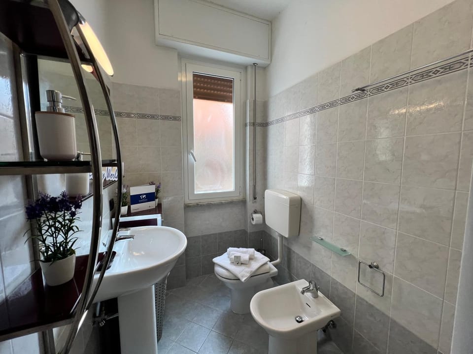 Shower, Toilet, Bathroom, bidet, towels