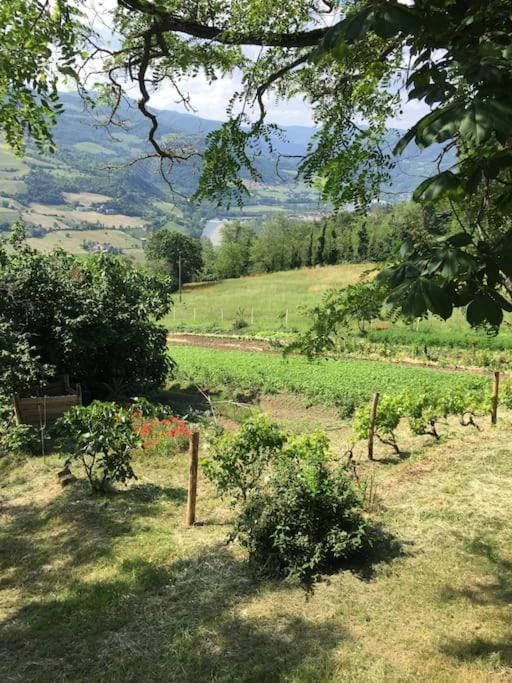 Spring, Natural landscape, Garden, Garden view, Mountain view