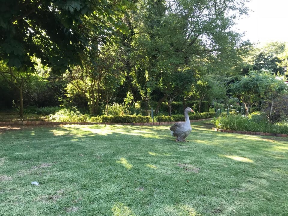 Garden, Garden