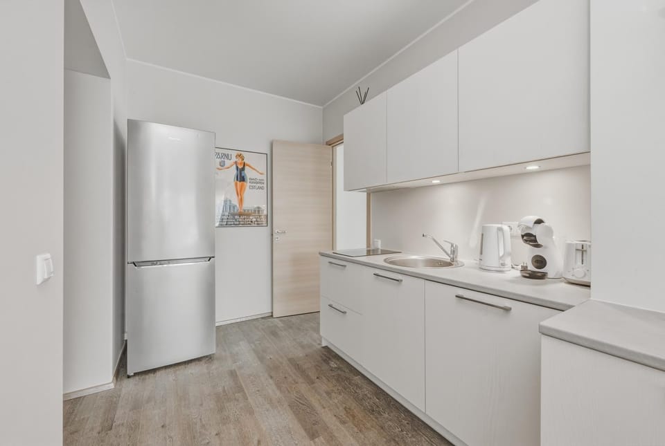 Aisa Holiday Apartment Apartment in Estonia