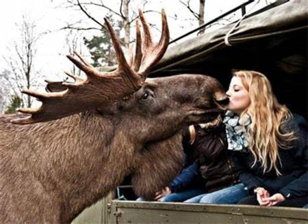 Stugan nära havet House in Kalmar County, Sweden
