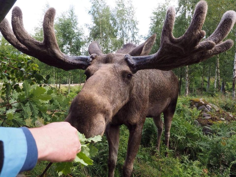 Stugan nära havet House in Kalmar County, Sweden