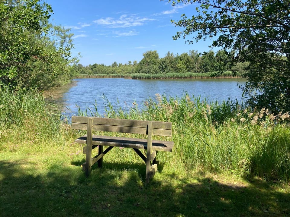 Natural landscape, Lake view