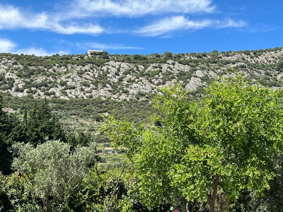 Mountain view
