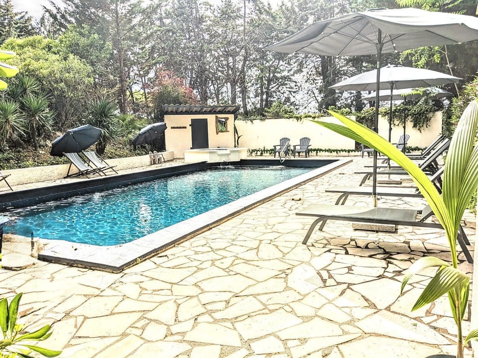 Swimming pool, sunbed