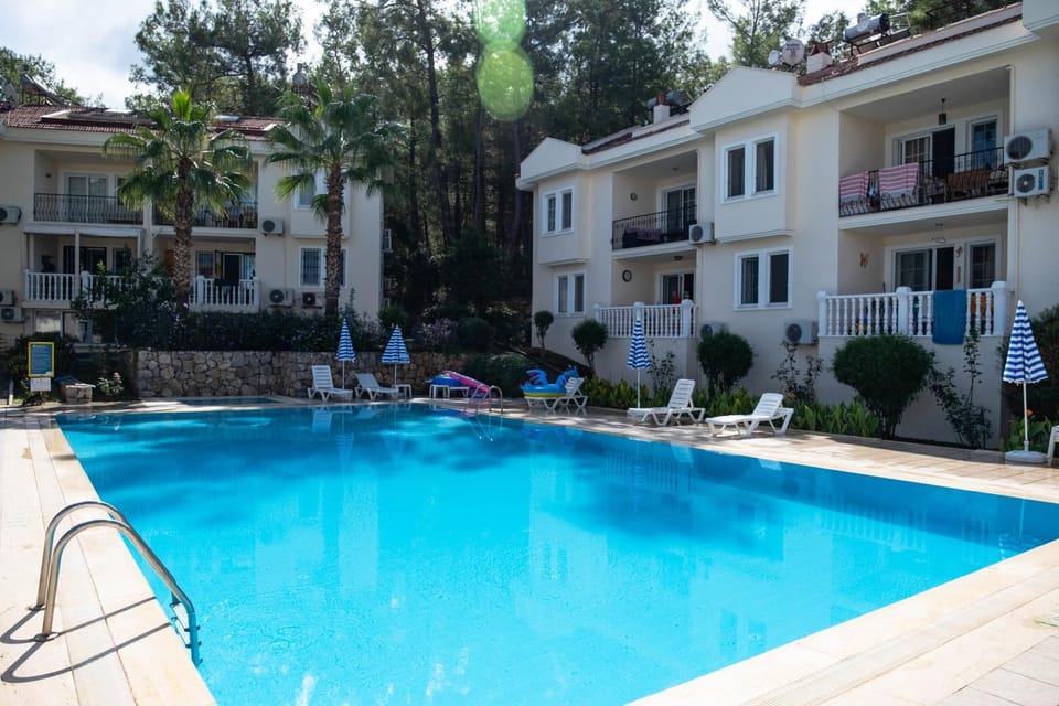 Garden view, Pool view, Swimming pool, sunbed