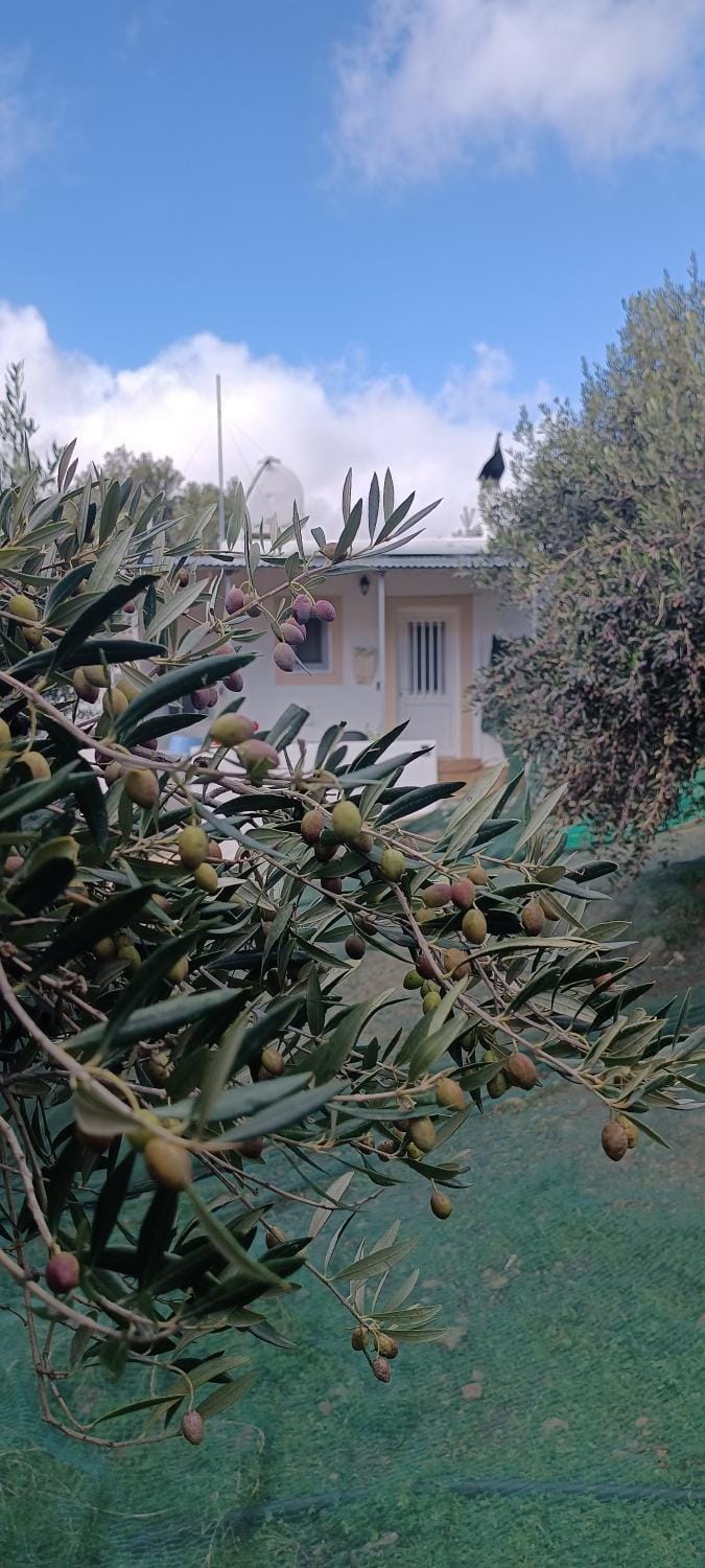 Olive metohi return to nature Apartment in Lasithi