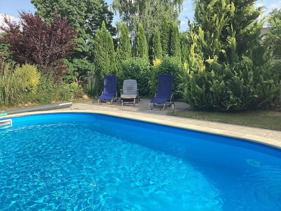 Swimming pool, sunbed
