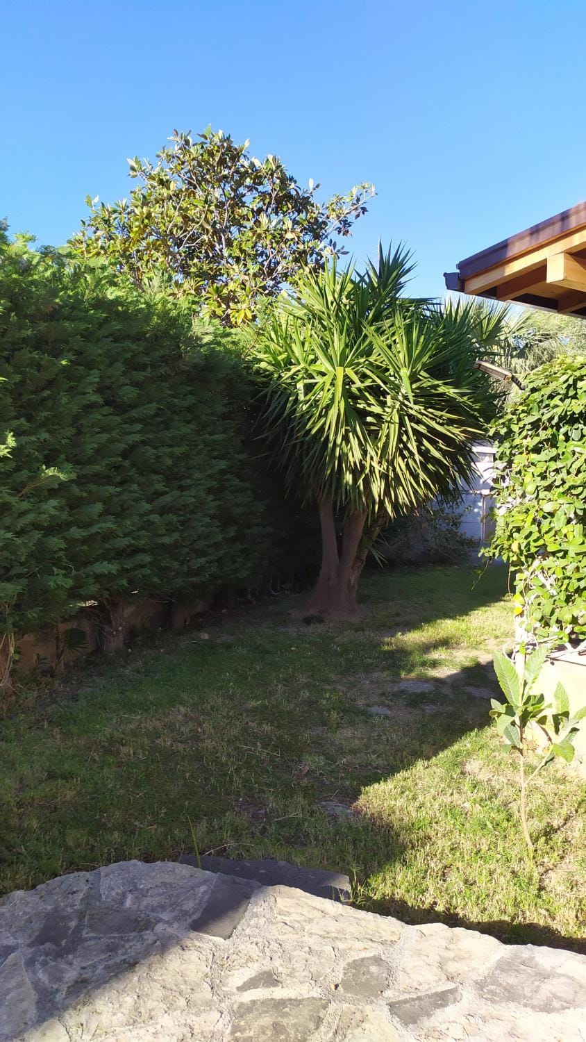 Spring, Day, Garden, Garden, Garden view