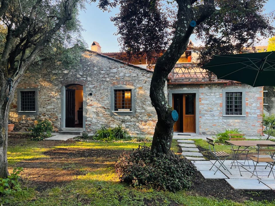 Day, Garden, Garden, Garden view