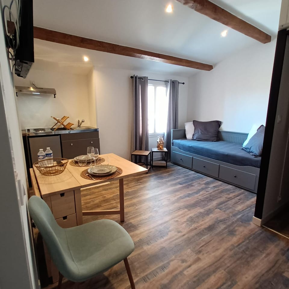 Studio LA MOUTONNE tt équipé 20 m2 10mn plages- hyeres - TRES CALME- Apartment in French Riviera