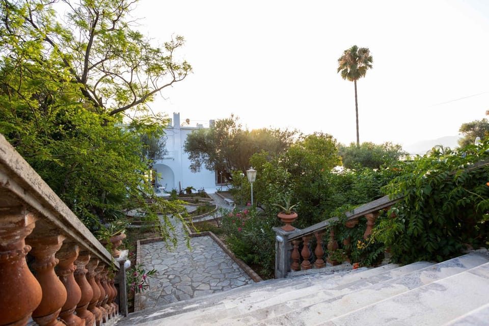 Day, Garden, Garden view